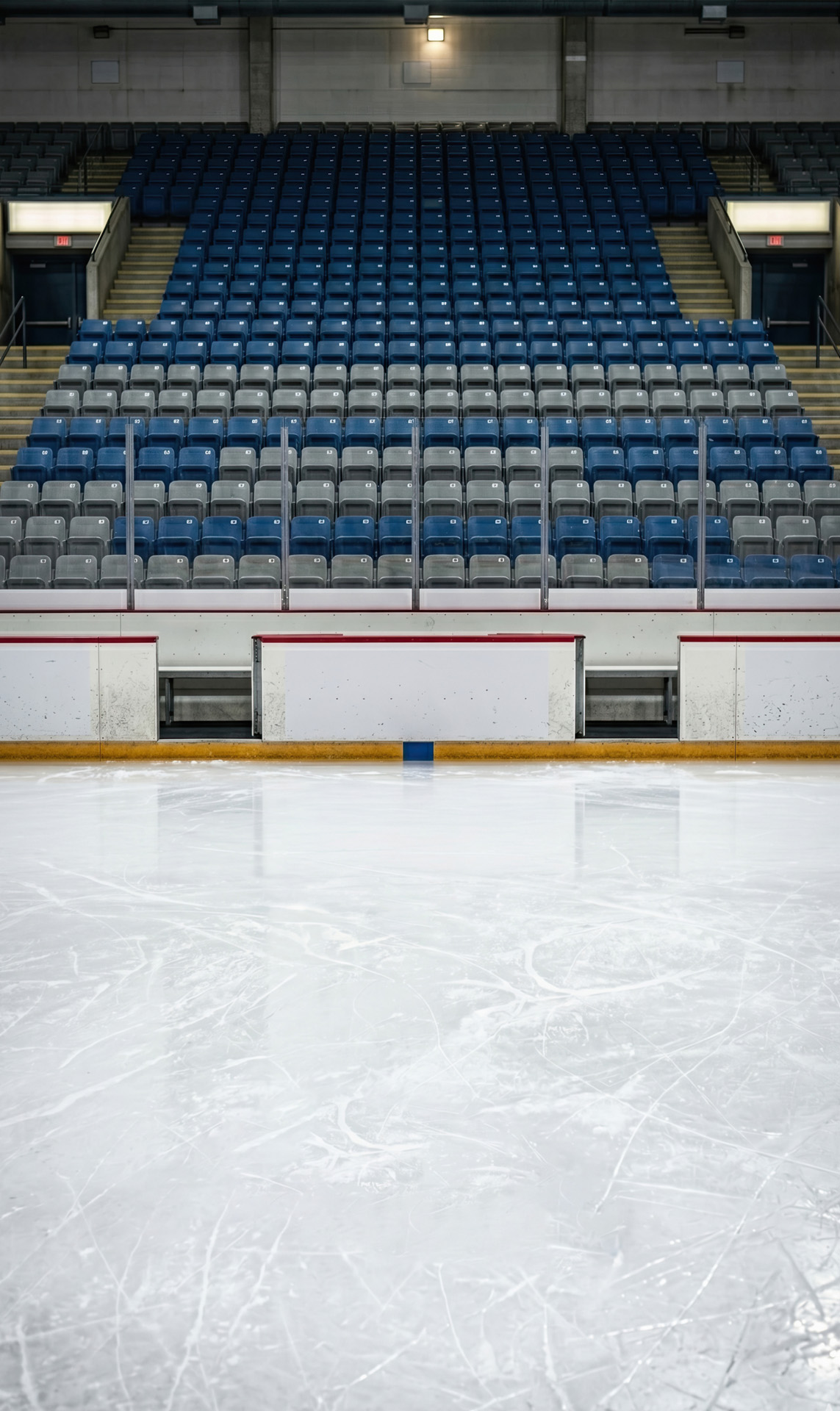 Hockey Stadium 1 Photography Backdrop